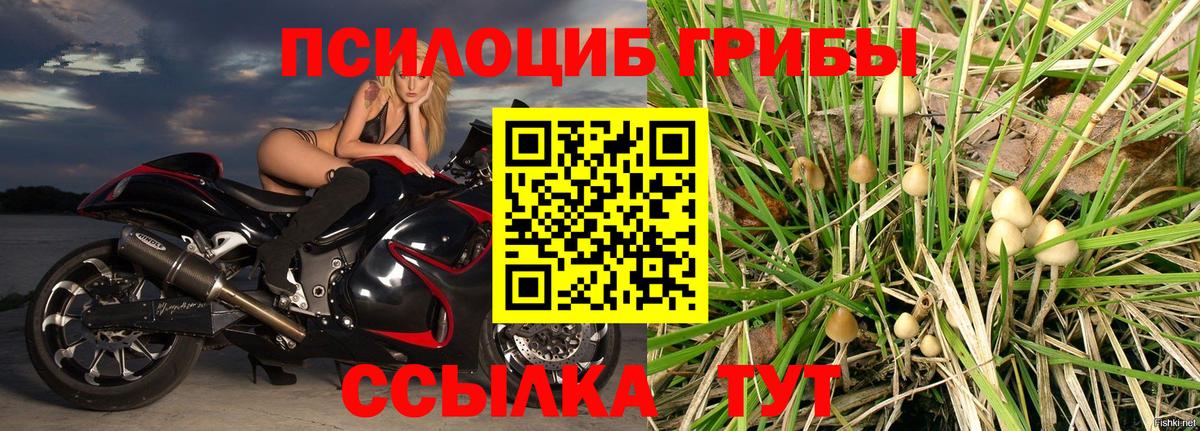 Галлюциногенные грибы Magic Shrooms  Вход с VPN  сколько стоит  Удомля 