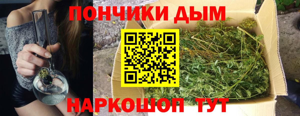Конопля сатива Удомля